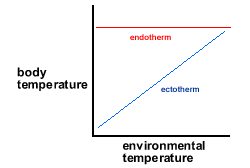 ectotherms1.gif