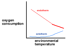 ectotherms2.gif